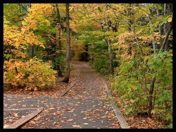 FOND D ECRAN PAYSAGE AUTOMNE 