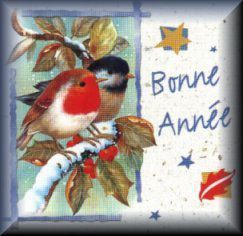 BONNE ANNEE