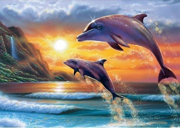 fond d’ecran gratuit dauphin