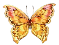 tube papillon