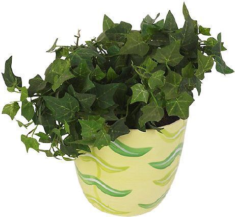 TUBE PLANTE FLEUR POT 