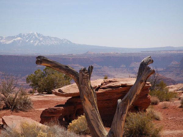 FOND D ECRAN CANYONS 