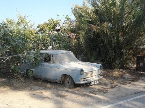 FOND D ECRAN PEUGEOT 