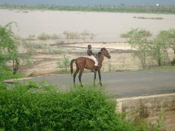 FOND D ECRAN AFRIQUE SENEGAL KENYA