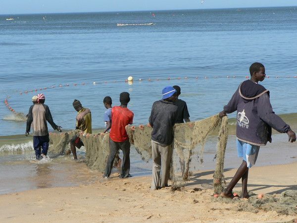 FOND D ECRAN AFRIQUE SENEGAL KENYA