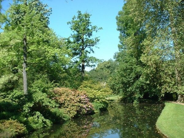 FOND D ECRAN PARC ET JARDIN 