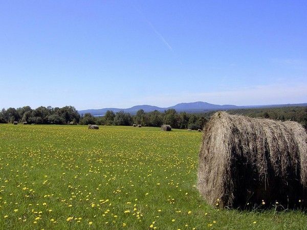 FOND D ECRAN CAMPAGNE