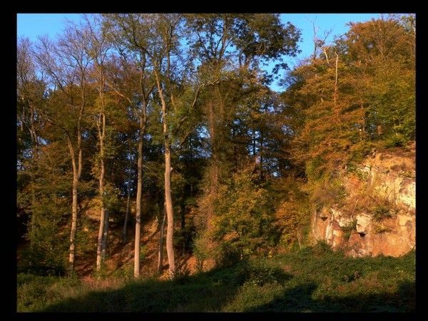 FOND D ECRAN PAYSAGE AUTOMNE 