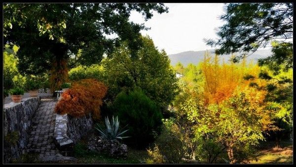 FOND D ECRAN PAYSAGE AUTOMNE 