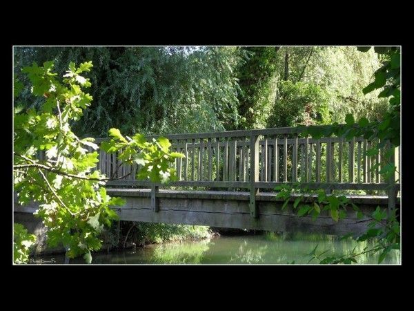 FOND D ECRAN PARC ET JARDIN 