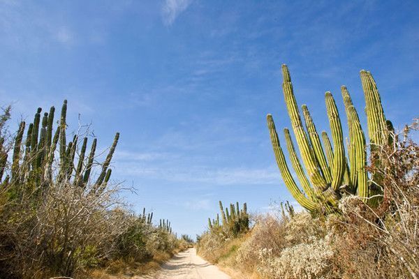 mexique