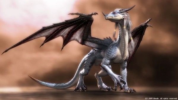 FOND D ECRAN DRAGON