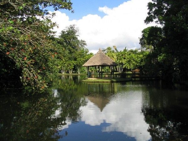 FOND D ECRAN PARC ET JARDIN 