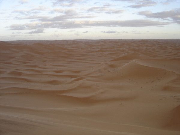 FOND D ECRAN DESERT