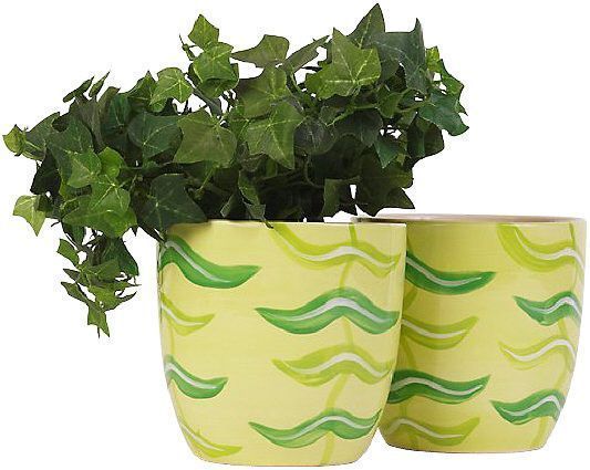 TUBE PLANTE FLEUR POT 