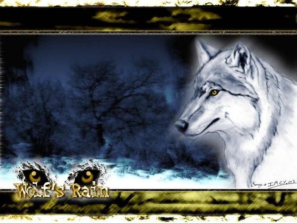 · FOND D ECRAN LOUPS 