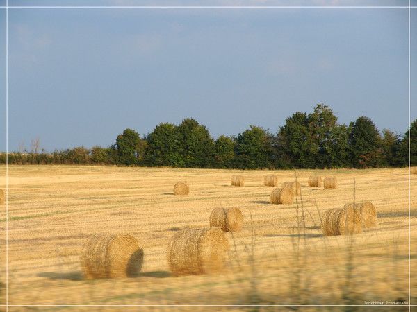 FOND D ECRAN CAMPAGNE 