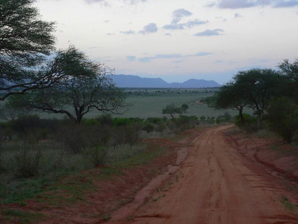 FOND D ECRAN AFRIQUE SENEGAL KENYA