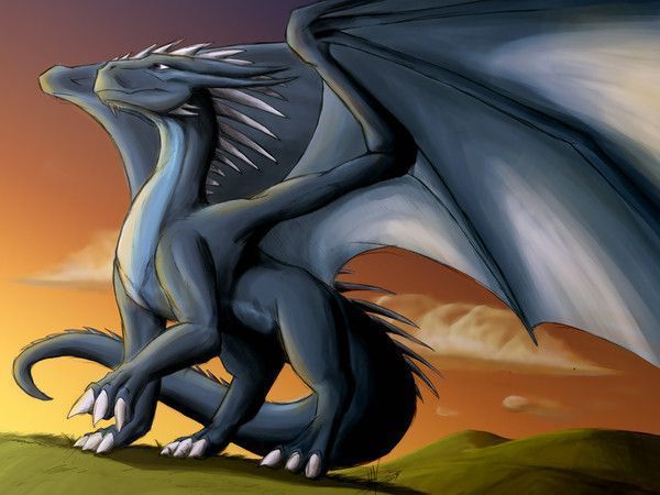 FOND D ECRAN DRAGON