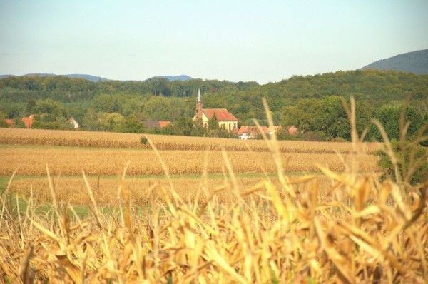 FOND D ECRAN PAYSAGE AUTOMNE