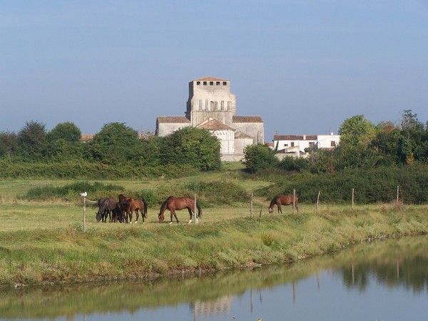 FOND D ECRAN CAMPAGNE 