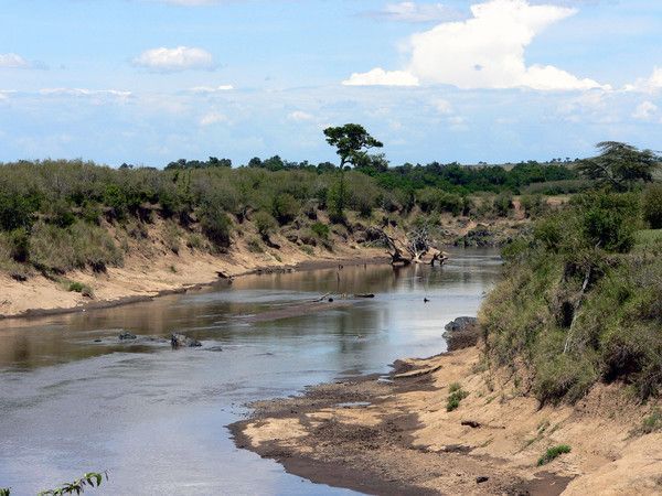 FOND D ECRAN AFRIQUE SENEGAL KENYA