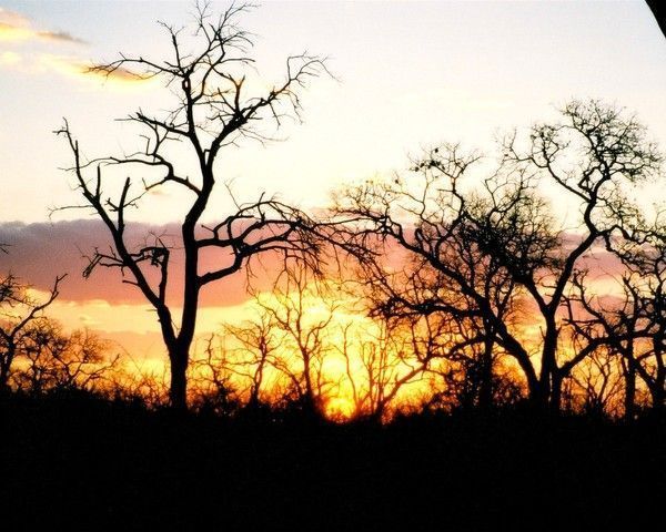 FOND D ECRAN AFRIQUE SENEGAL KENYA