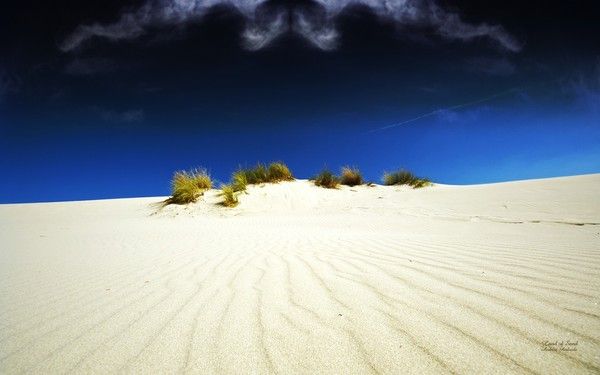 FOND D ECRAN DESERT
