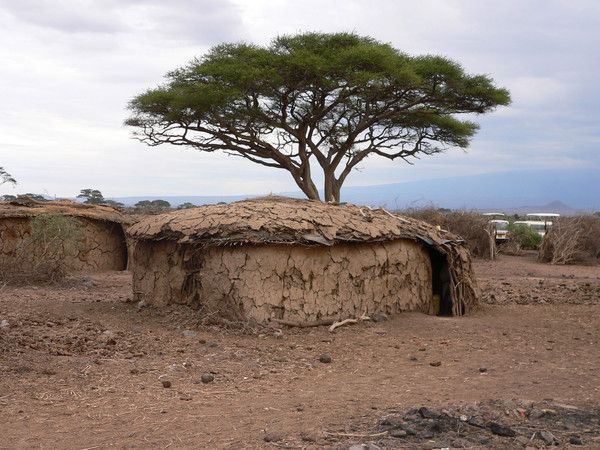 FOND D ECRAN AFRIQUE SENEGAL KENYA