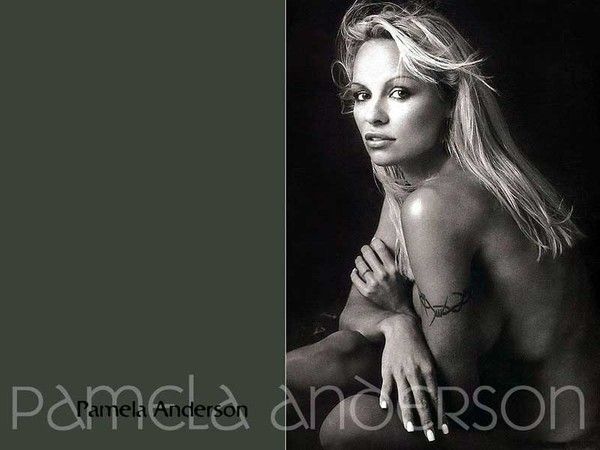 FOND D ECRAN PAMELA ANDERSON 