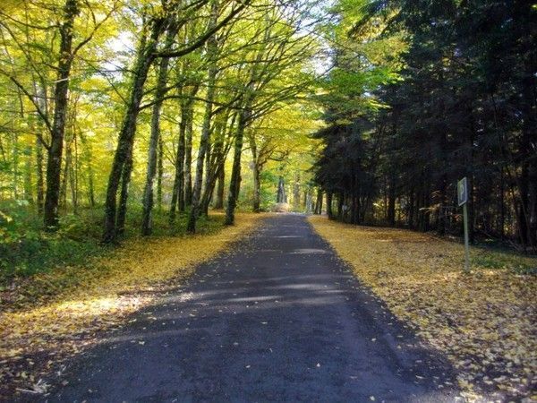 FOND D ECRAN PAYSAGE AUTOMNE 